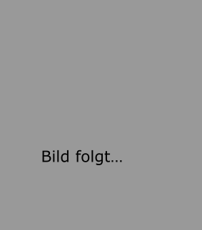 Bild folgt…